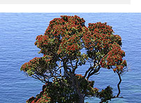 Employment Law, Christchurch legal services